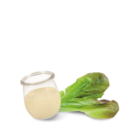 Sylter Dressing – mild mit feiner Zwiebelnote